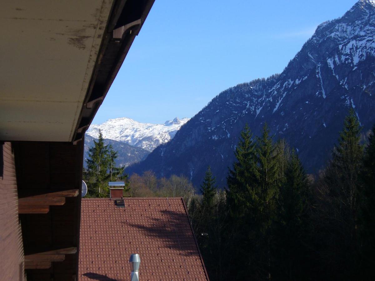 Dachstein View Leilighet Bad Goisern Eksteriør bilde