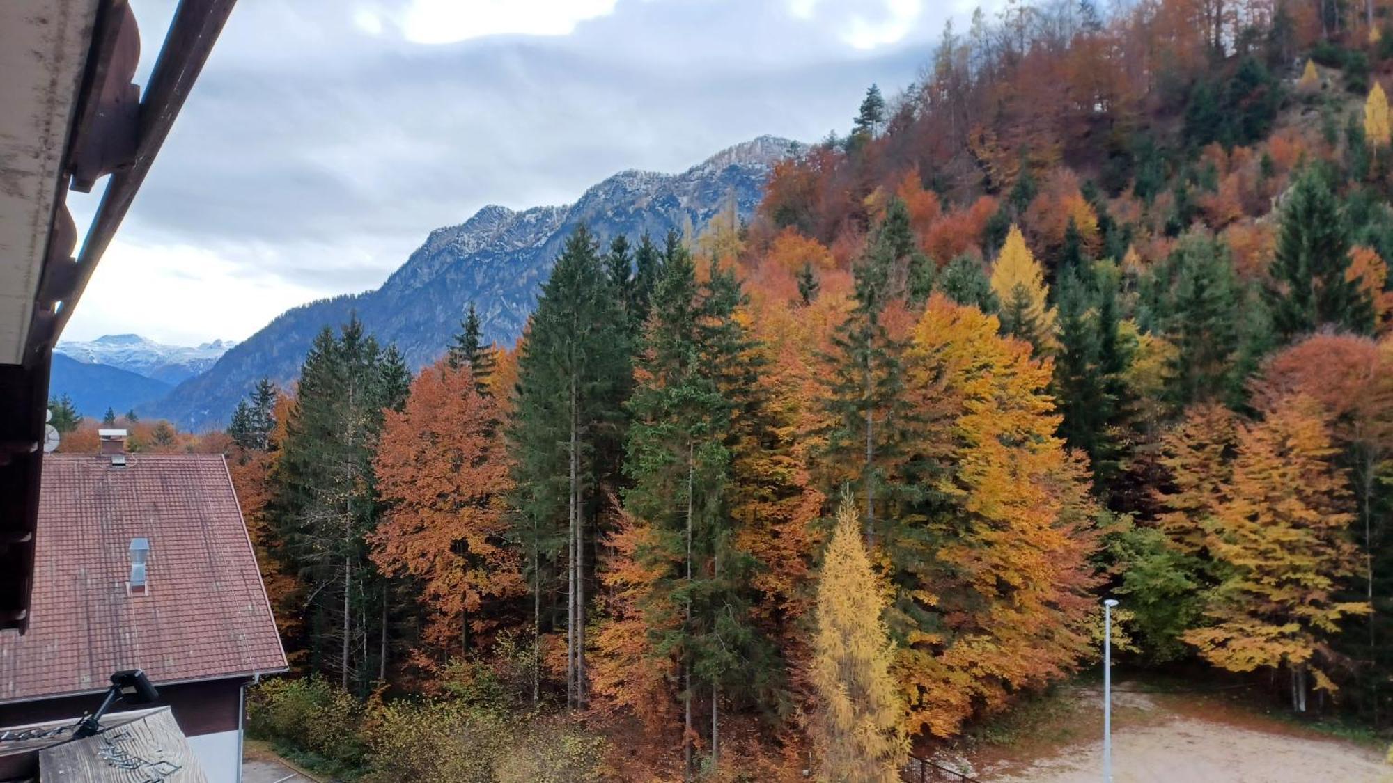 Dachstein View Leilighet Bad Goisern Eksteriør bilde