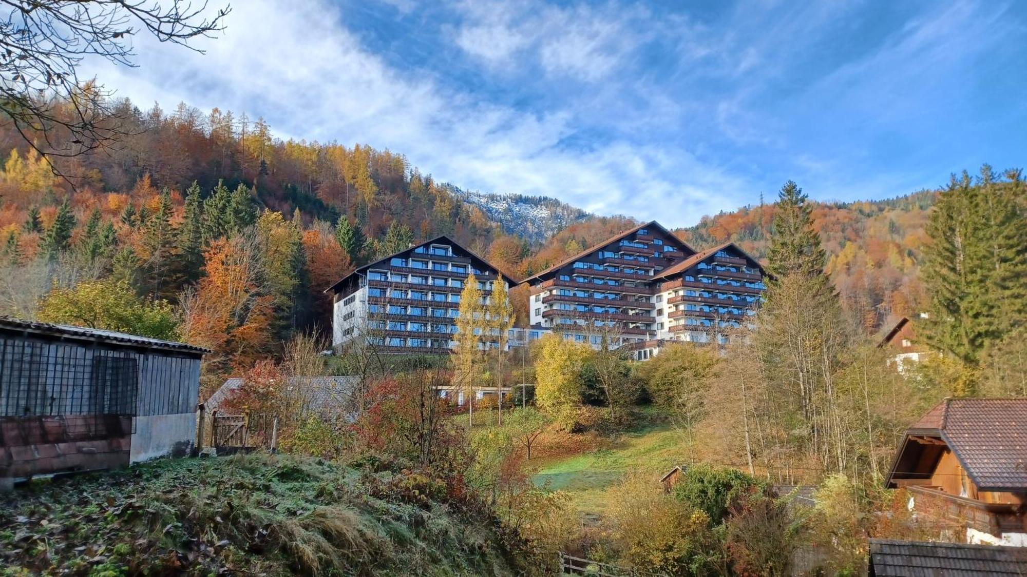 Dachstein View Leilighet Bad Goisern Eksteriør bilde