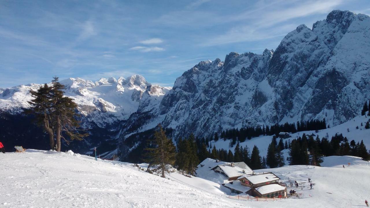 Dachstein View Leilighet Bad Goisern Eksteriør bilde